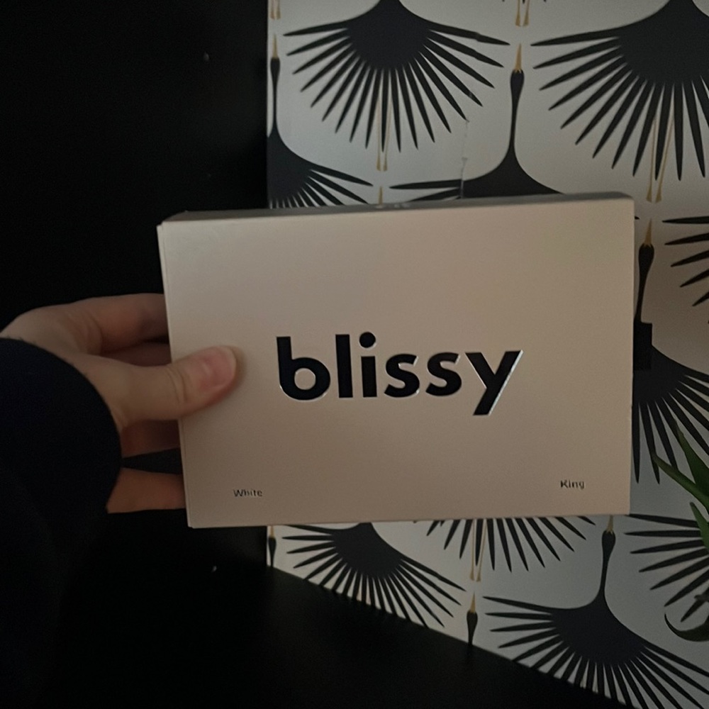 Bliss silk pillowcase king size in white